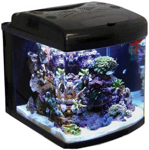 JBJ 28 Gallon NanoCube Advanced Aquarium with LED Lighting JBJ 28 Gallon NanoCube Advanced Aquarium with LED Lighting