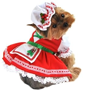 Anit Accessories Candy Cane Cutie Dog Costume, Large, 20-Inch