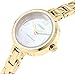 Casio Women's Core LTP1352G-7A Gold Stainless-Steel Quartz Fashion Watch
