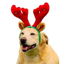 Outward Hound Kyjen  30026 Holiday Antlers Wearable Dog Accessories, Large, Brown
