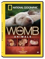In the Womb - Animals Online.