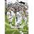 Borussia M�nchengladbach 2010. Bannerkalender