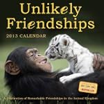 Unlikely Friendships 2013 Wall Calendar