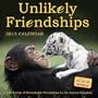 Unlikely Friendships 2013 Wall Calendar