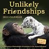 Unlikely Friendships 2013 Wall Calendar
