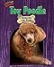 Search : Toy Poodle: Oodles of Fun (Little Dogs Rock!)
