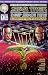 Star Trek: Deep Space Nine - Lightstorm #1 (December 1994)