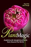 Plant magic : auspicious and inauspicious plants from around the world