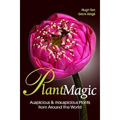 Plant Magic