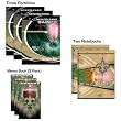 Turner NFL New Orleans Saints Nondated Combo Pack (8140331)