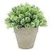 Velener Artificial Provence Flowers Arrangements in Pots for Home Decor (Green)