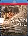 Swan Lake [Blu-ray]