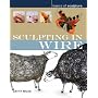 Sculpting in Wire (Basics of Sculpture)