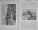 1909 Hunting Evelyn Wood Tree River Chelmer Leaden Wash