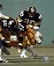 Rocky Bleier Pittsburgh Steelers 8x10 Photo