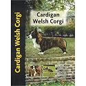 Cardigan Welsh Corgi Dog Breed Book