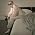 Thumbnail image of Pitbull