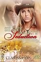 Silent Night's Seduction