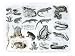 Batrachians and Other Amphibia Art Giclee Poster Print by English School, 24x18