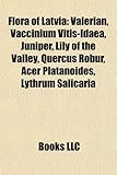 Flora of Latvia: Valerian, Vaccinium Vitis-Idaea, Juniper, Lily of the Valley, Quercus Robur, Acer Platanoides, Lythrum Salicaria-
