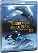 Le monde des dauphins et baleines - Blu-ray 3D active