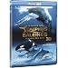 Le monde des dauphins et baleines - Blu-ray 3D active