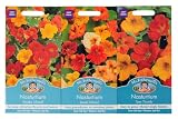 Mr Fothergill's Seeds Nasturtium Mixtures Collection