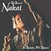 R. Carlos Nakai-In Beauty, We Return