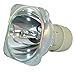 UHP 190-160W 0.9 E20.9 Philips Projection Original Projector Bulb