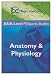 AS/A Level PE Sports Studies: Anatomy and Physiology (Topic Cue Cards)