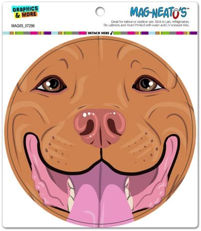 Pit Bull Face Red Nose Pitbull - Close up Pet Dog Circle MAG-NEATO'STM Automotive Car Refrigerator Locker Vinyl Magnet