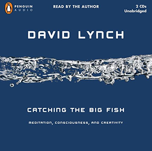 catching the big fish meditation consciousness and creativity