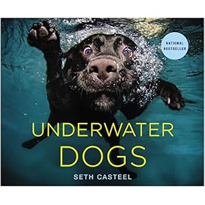 amazon underwater