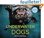 Underwater Dogs