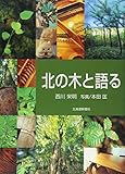 北の木と語る