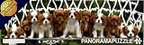Panorama Puzzle King Charles Spaniels