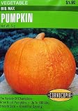 Pumpkin Big Max Seeds