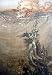 6 x 4 Excellent desires Card Arthur Rackham Mermaids