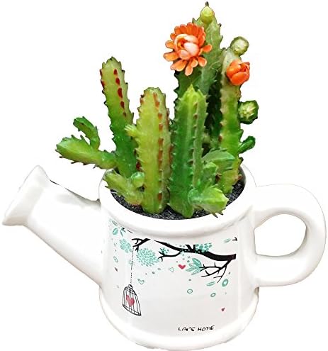 Artificial Succulent Garden in White Vase, cactus artificial, cactus garden artificial