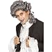 Immortal Male Colonial Wig Adult