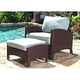Atlantis Lounge Chair Fabric: Canvas-Sky Blue