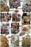 Glanzbilder MLP 1888 Elfen Blumen - 