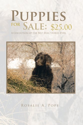 puppies for sale