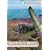 AA Leisure Guide North York Moors (AA Leisure Guides)