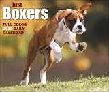 Just Boxers Daily Calendar (Just (Willow Creek))