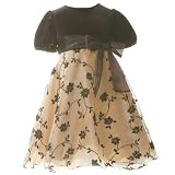 Infant Toddler Girls Clothes Christmas GOLD FLORAL Dress RARE EDITIONS 12M-6X