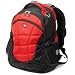 SwissGear Computer Backpack (Gray/Black)