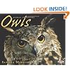 Owls (Animal Predators)