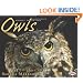 Owls (Animal Predators)