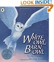 White Owl, Barn Owl
